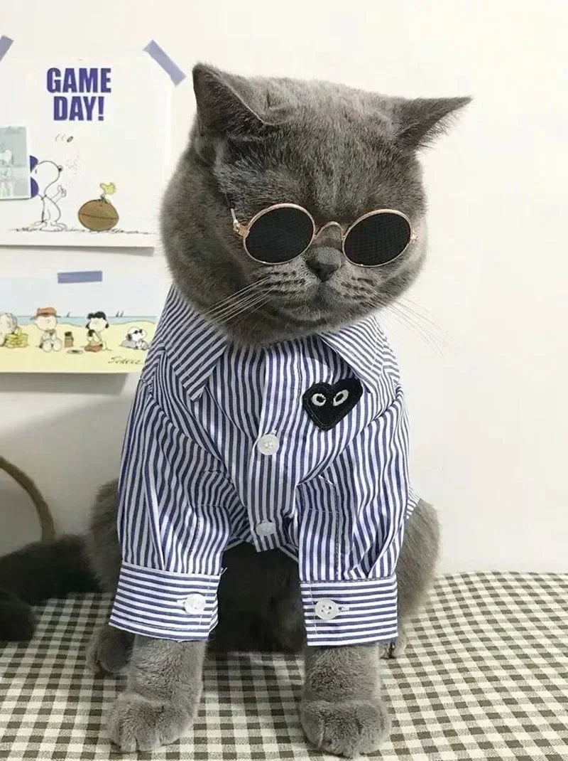 Cat Sunglasses Summer Outdoor Puppy UV Protection Sunglasses Dolls Sun Glasses Small Dog Cosplay Photo Props Cute Pet Sunglasses