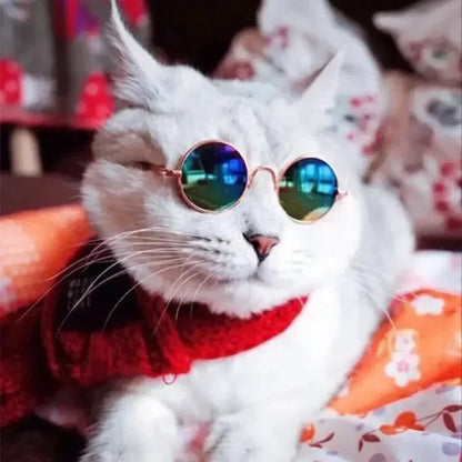 Cat Sunglasses Summer Outdoor Puppy UV Protection Sunglasses Dolls Sun Glasses Small Dog Cosplay Photo Props Cute Pet Sunglasses