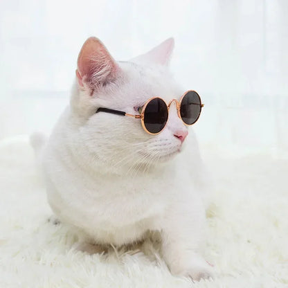 Cat Sunglasses Summer Outdoor Puppy UV Protection Sunglasses Dolls Sun Glasses Small Dog Cosplay Photo Props Cute Pet Sunglasses
